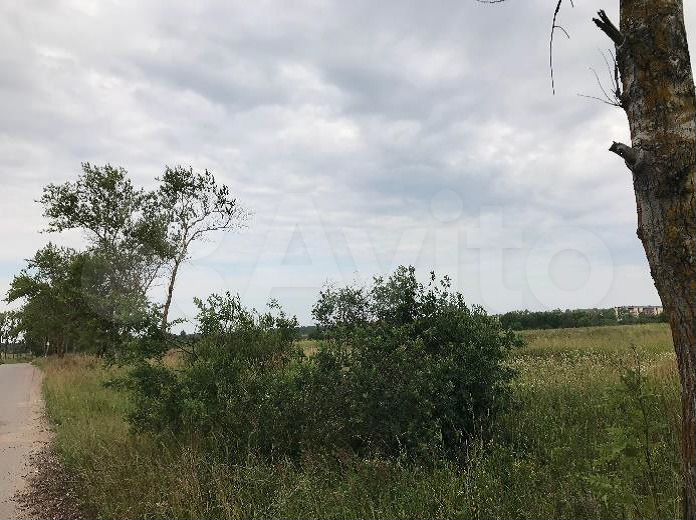 Участок 45,61 га (ИЖС)