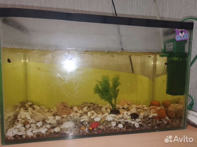 Аквариум