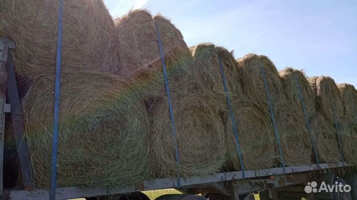Сено в рулонах 2023
