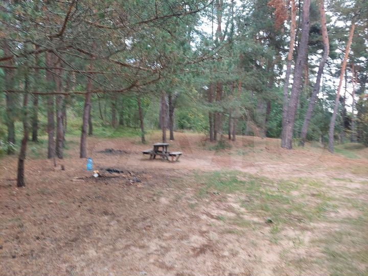 Участок 6 га (СНТ, ДНП)