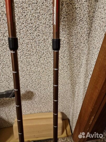 Палки для скандинавской ходьбы армед с антишоком