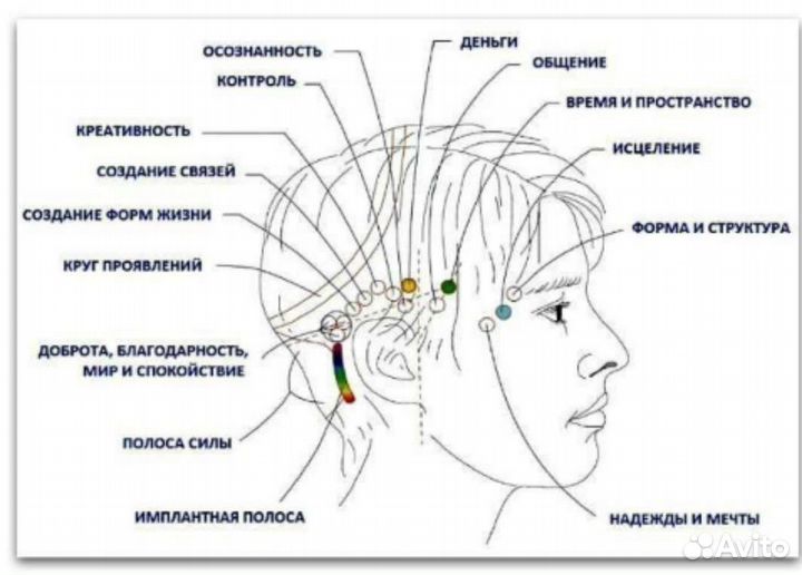 Энергетический массаж головы Аксесс, Access bars