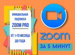 Подписка zoom Pro на 1 месяц или год быстро