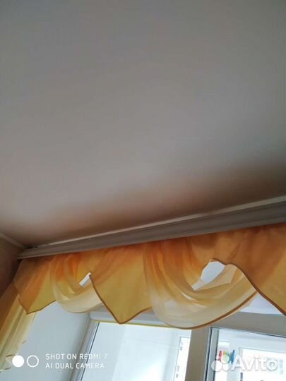 Ламбрекен новый, повесила сфоткать