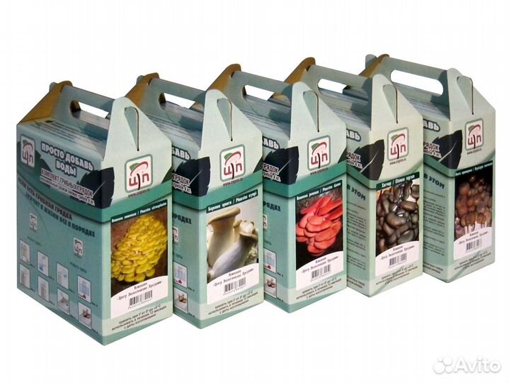 Мицелий в готовых субстратных грибных грядках