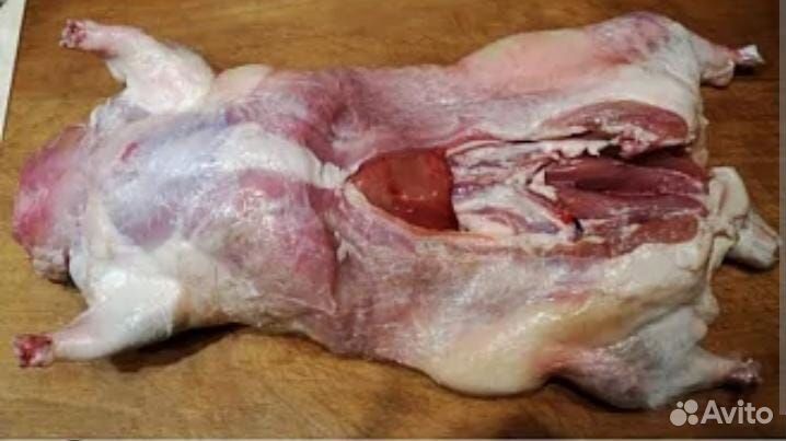 Мясо нутрии