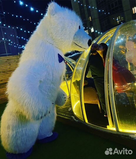 Белый Мишка Умка, Аниматор Панда