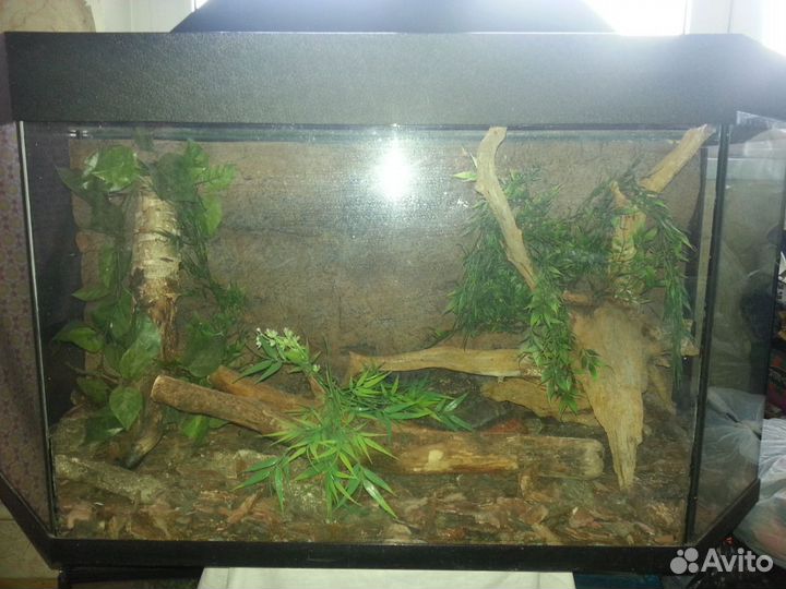 Акватеррариум с объемным задним фоном 235 литров