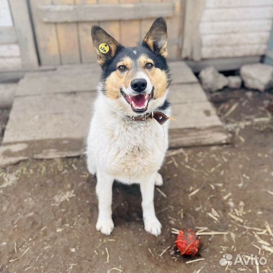 Небольшой Мартин в заботливые руки