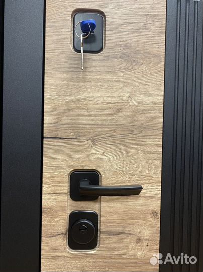 Дверь входная с зеркалом