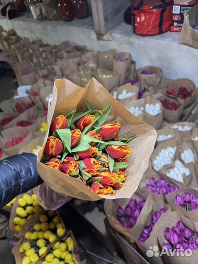 Тюльпаны опт Краснодар к 8 марта