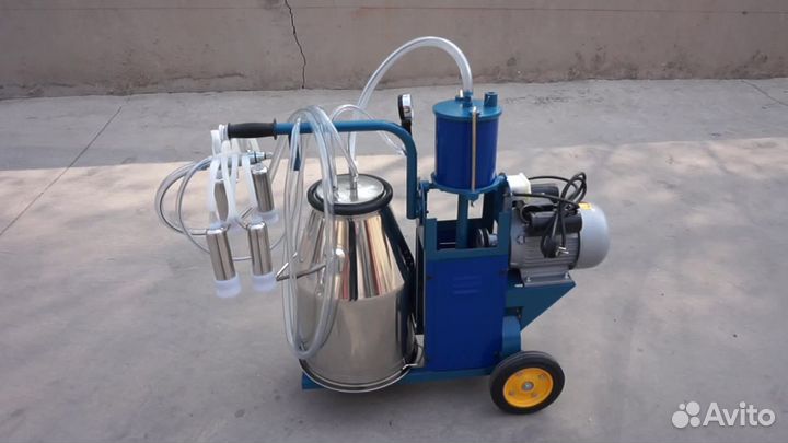 Доильный аппарат для коров 