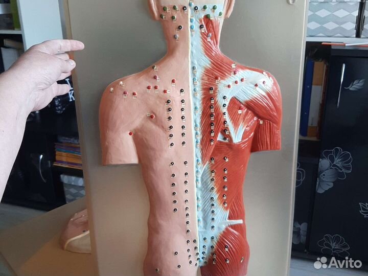 Наглядное пособие