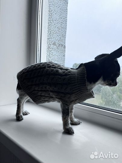 Кофта вязанная для собаки