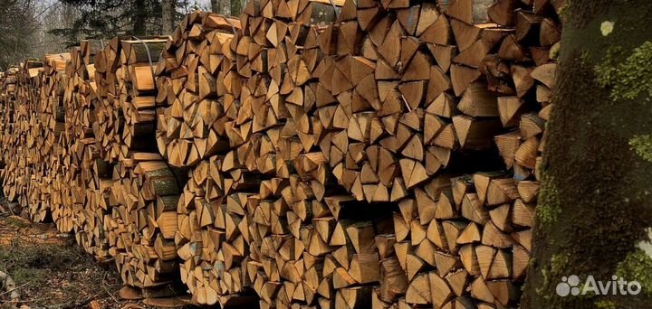 Дрова с Зеленогорска