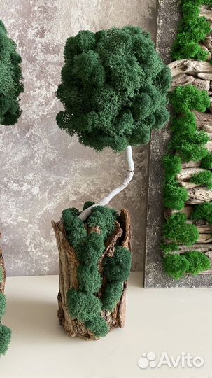 Деревце из мха