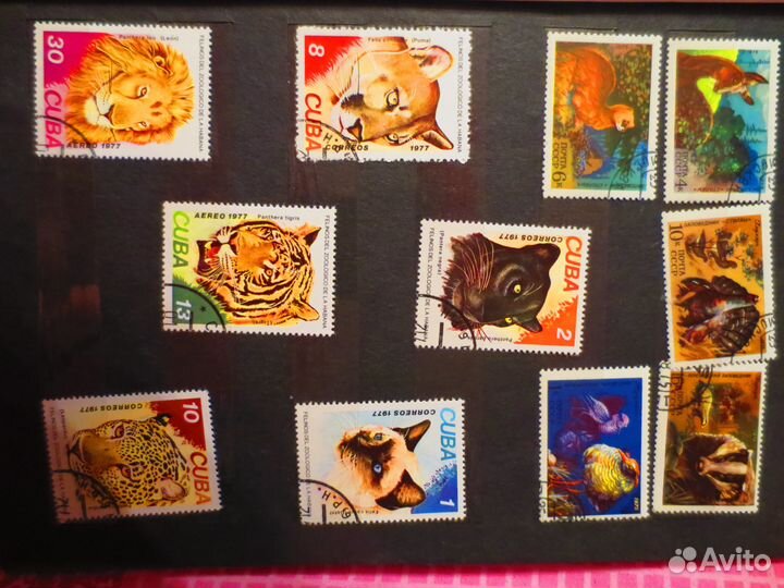 Продаю коллекцию марок