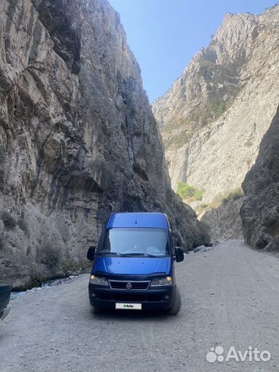 FIAT Ducato микроавтобус, 2009