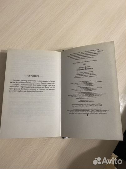 Книга «Бегущий в лабиринте»