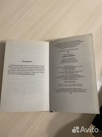 Книга «Бегущий в лабиринте»