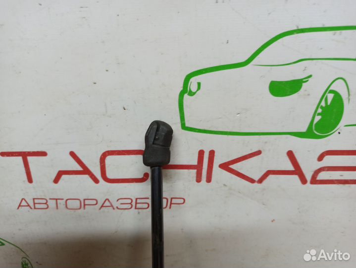 Амортизатор капота VW Tiguan 2 (2016+)