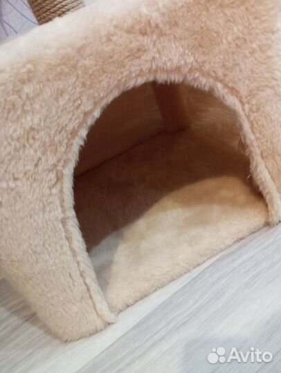 Когтеточка