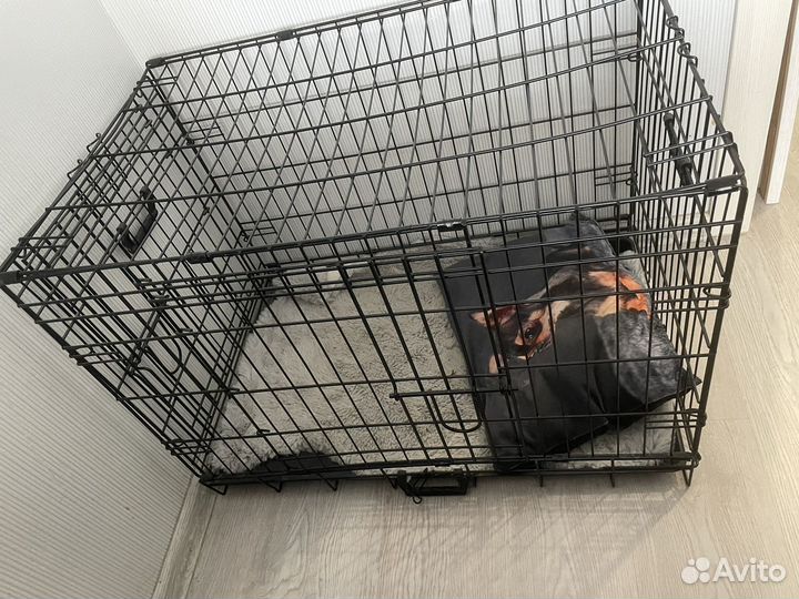 Вольер для собак