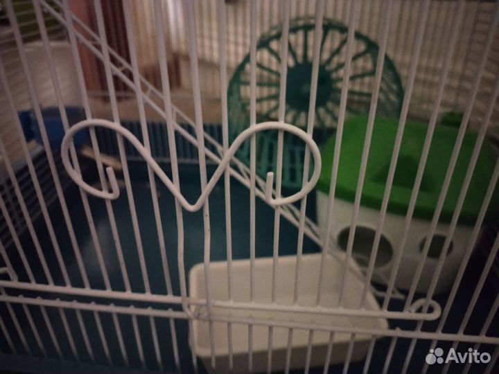 Клетка для хомяка бу