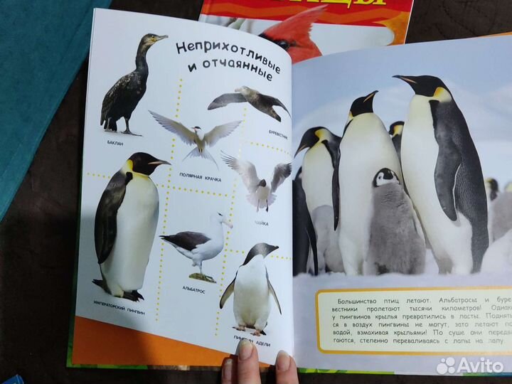 Детские книжки