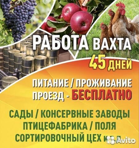 Требуются рабочие на птицефабрику