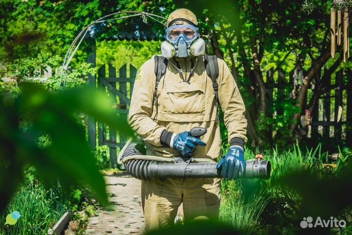 Тараканов клопов клещей комаров плесени борщевика