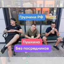 Услуги грузчиков переезды вывоз мусора такелаж, Пушкино