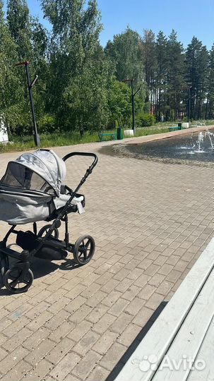 Коляска адамекс 2 в 1