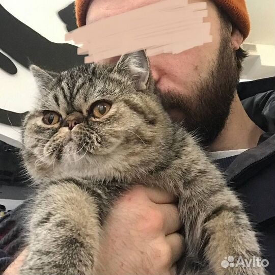 Экзотическая