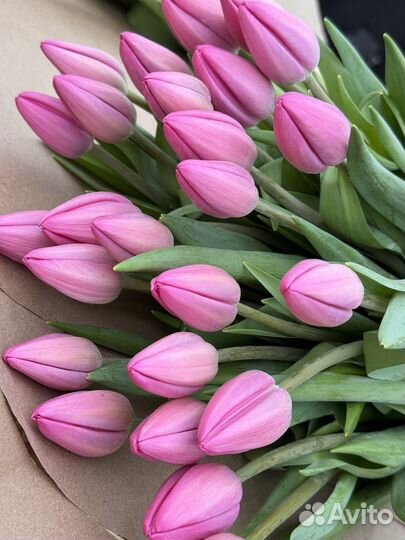 Тюльпаны к 8 марта оптом