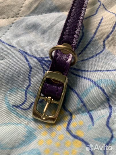 Ошейник для маленькой собаки