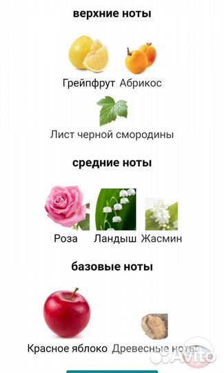 Dkny Be Delicious Fresh Blossom 100ml