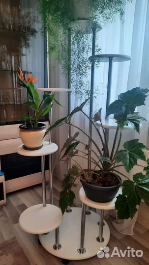 Подставка под цветы