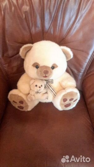 Заяц, медведь,собака,енот