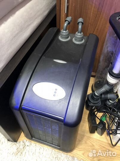 Холодильник Arcadia AT250