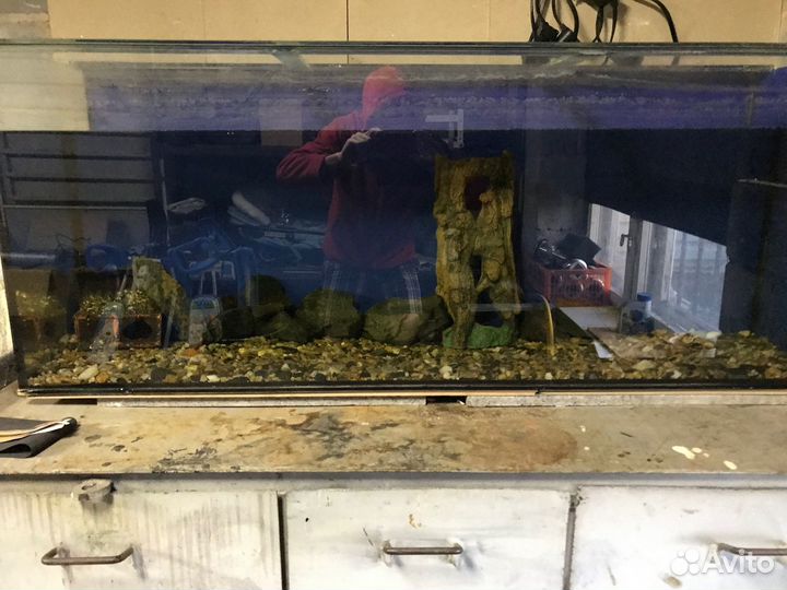 Аквариум