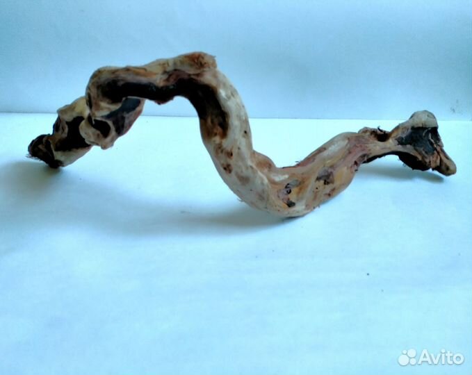 Коряги для террариума