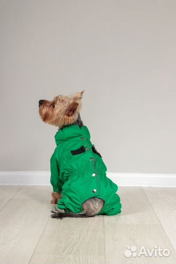 Одежда для собак дождевик