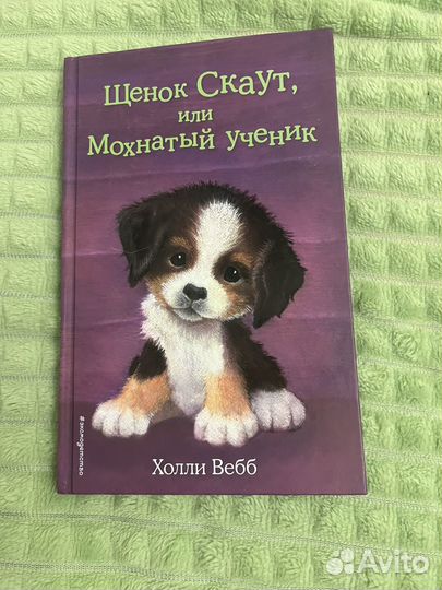 Набор книг Холли Вебб