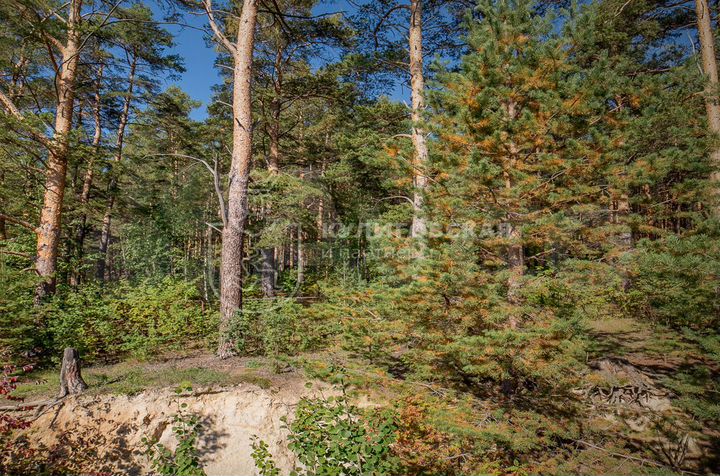 Коттедж 421,4 м² на участке 11,5 сот.