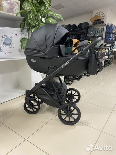 Коляска 2 в 1 Riko Montana