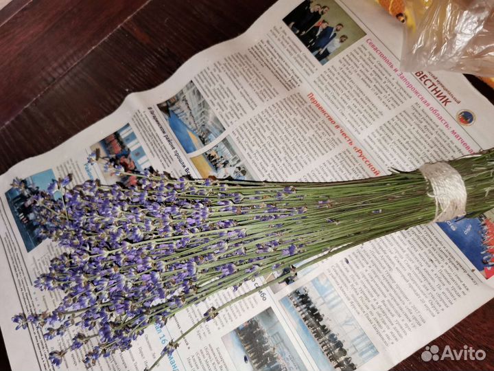 Крымская лаванда