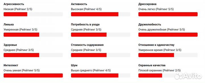 Русский Охотничий Спаниель Щенки
