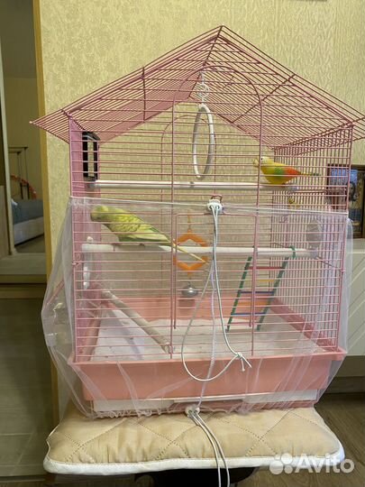 Клетка для попугая