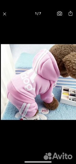 Одежда для собак xs